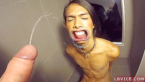 A brunette girl is going to get pipped in her pussy